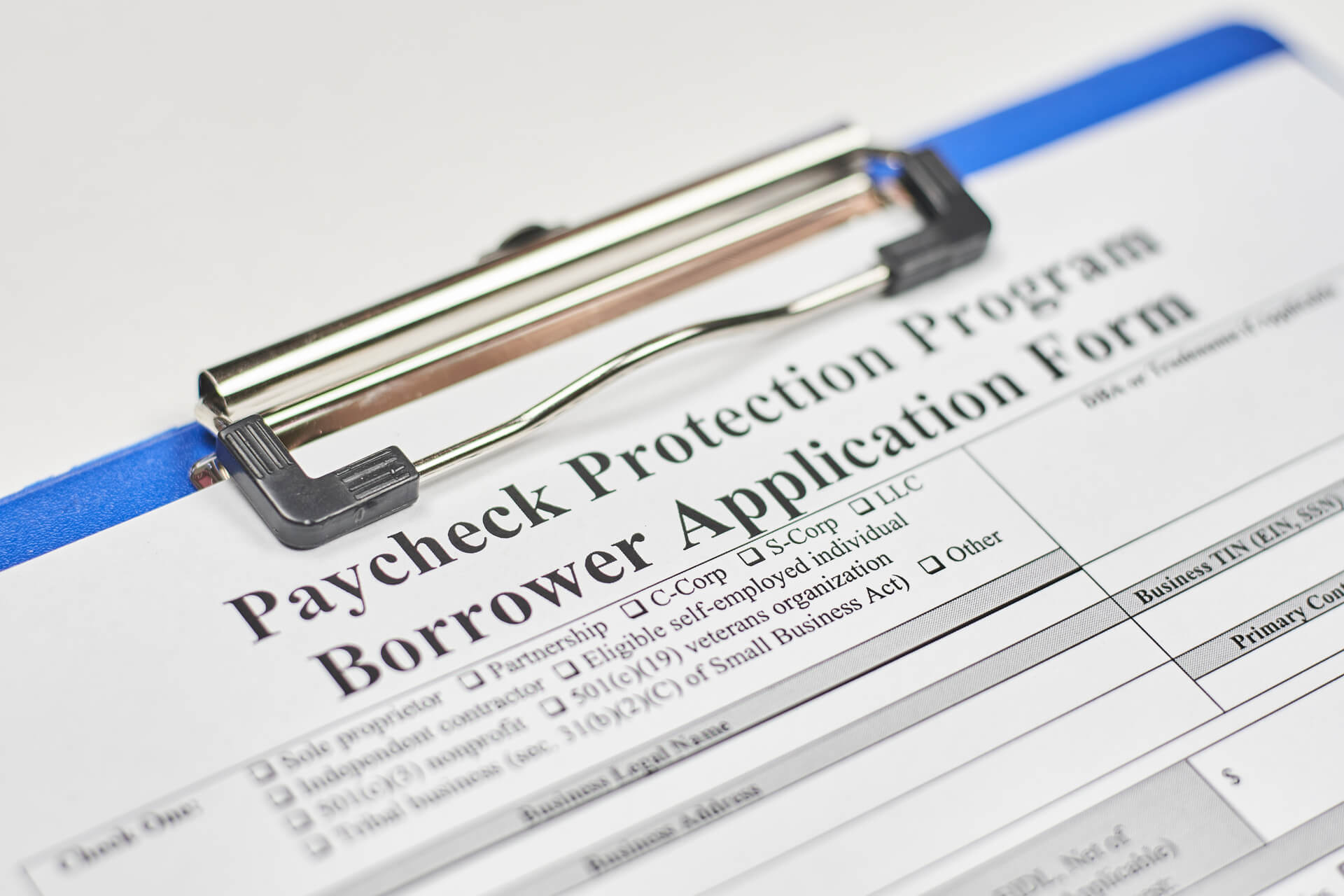 Paycheck Protection Program Application Form